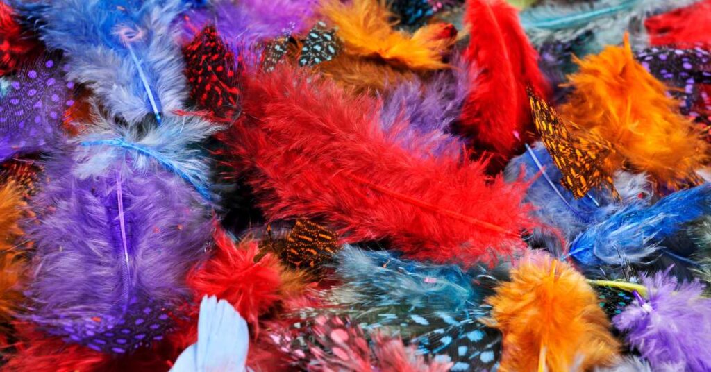 A collection of feathers arranged in a circular pattern with soft, muted colors