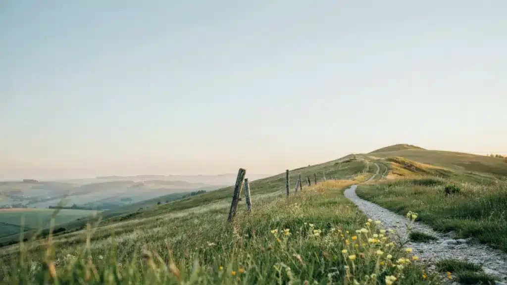 A sunlit path at dawn symbolising fresh starts and personal growth.