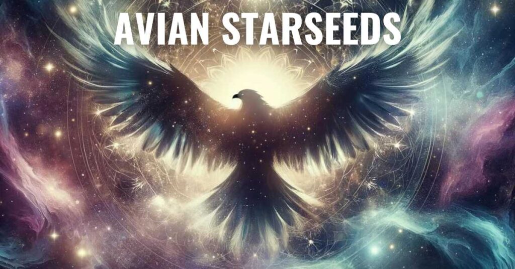 Avian Starseeds