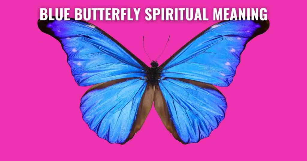 Blue Butterfly Spiritual Meaning